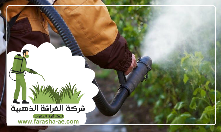 شركة مكافحة حشرات في احفرة 5 شركة مكافحة حشرات في احفرة