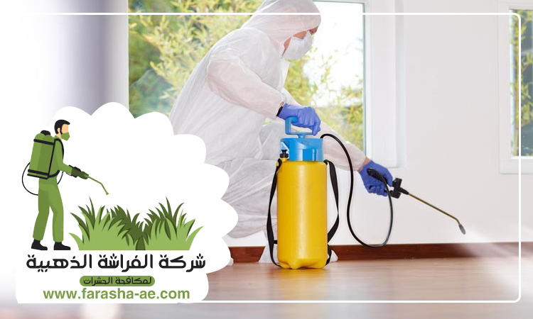 شركة مكافحة حشرات في الرحيب 5 شركة مكافحة حشرات في الرحيب