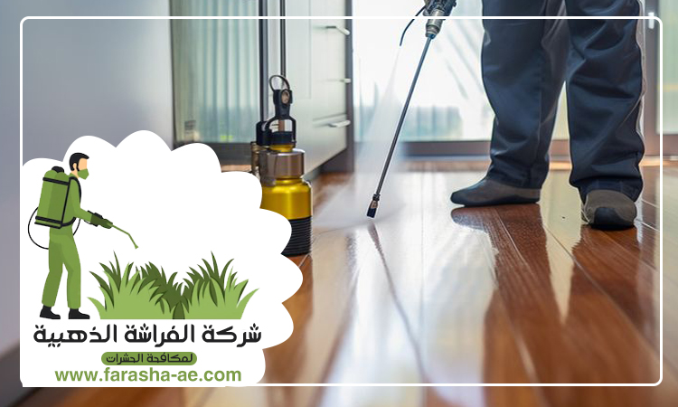 شركة مكافحة حشرات في الرحيب 4 شركة مكافحة حشرات في الرحيب