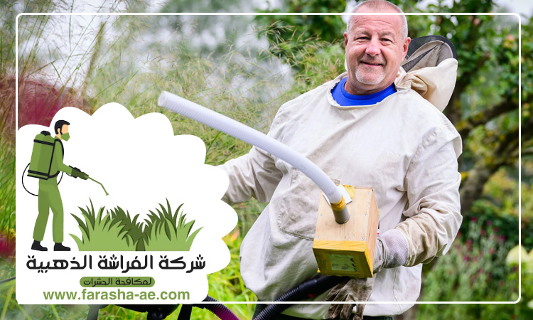 شركة مكافحة حشرات في ثيب