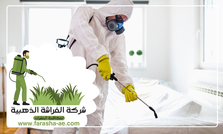 شركة مكافحة حشرات في إعمار
