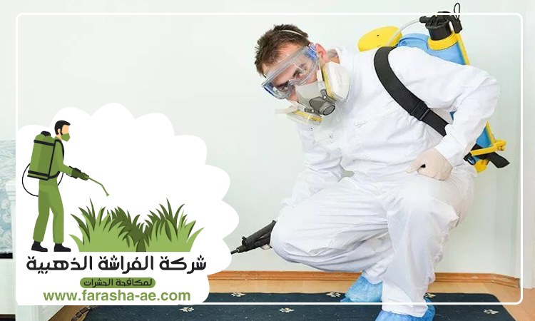 شركة مكافحة حشرات في خورفكان