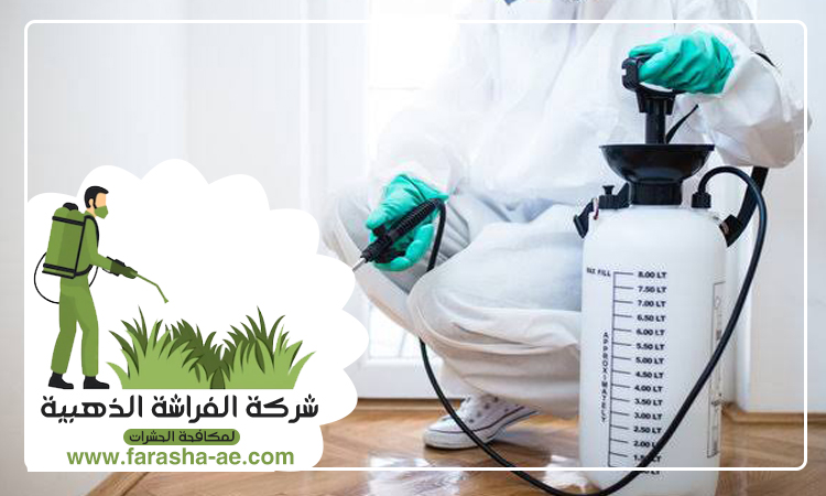 شركة مكافحة حشرات في المدام