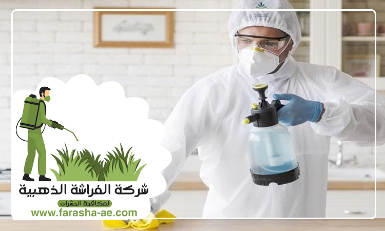 شركة مكافحة حشرات في الطور