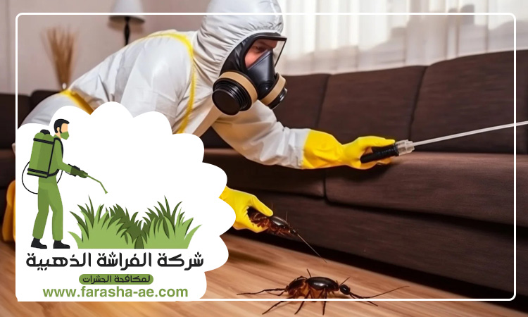 شركة مكافحة حشرات في البليدة