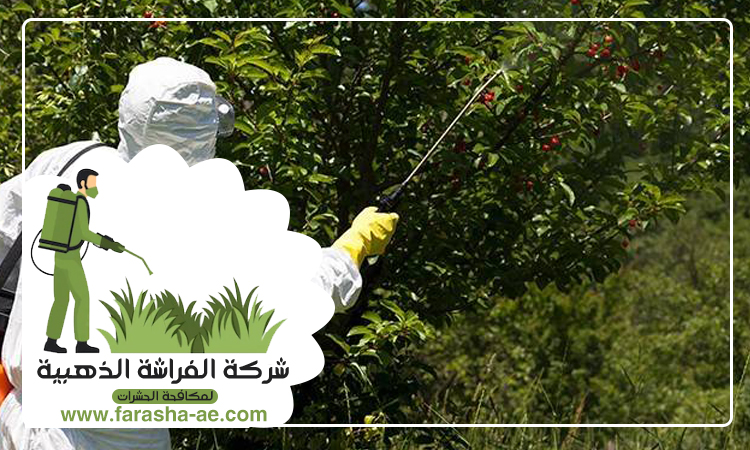 شركة مكافحة حشرات في البراري