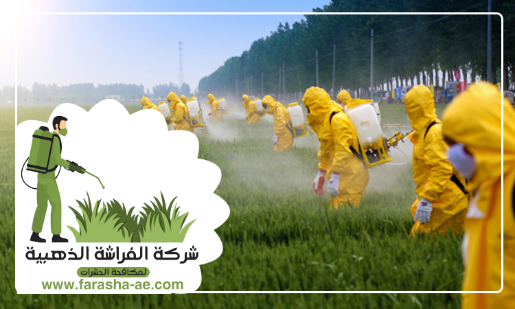 شركة مكافحة حشرات في الجافلية