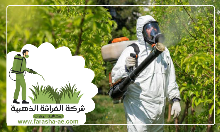 شركة مكافحة حشرات في الزيد