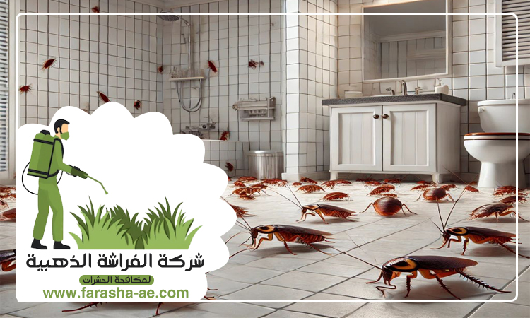 مكافحة الصراصير في رأس الخيمة 5 مكافحة الصراصير في رأس الخيمة
