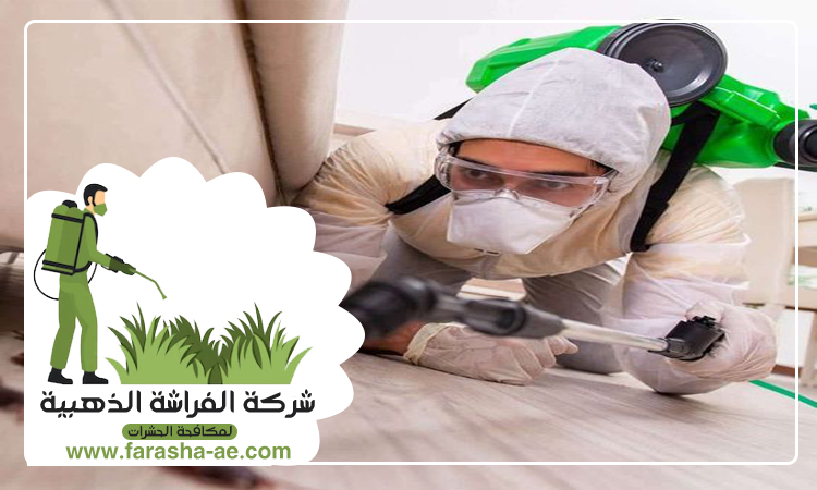 شركة مكافحة الصراصير في عجمان 5 شركة مكافحة الصراصير في عجمان