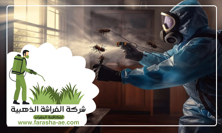 شركة مكافحة حشرات في مريشيد