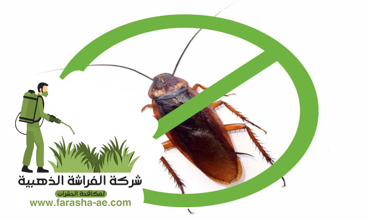 مكافحة الصراصير