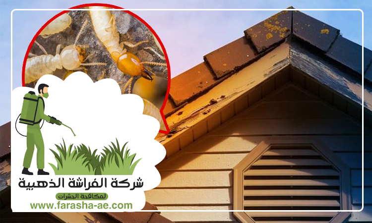 شركة مكافحة الرمة