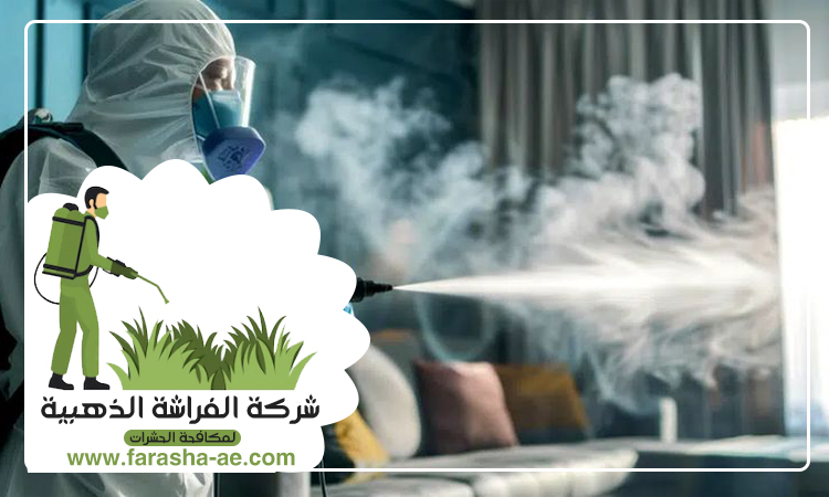 شركة مكافحة حشرات في سكمكم 5 شركة مكافحة حشرات في سكمكم