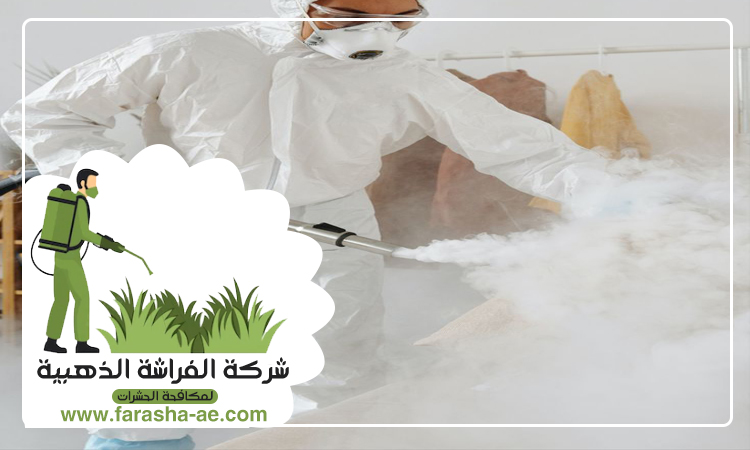 شركة مكافحة حشرات في البليدة 5 شركة مكافحة حشرات في البليدة