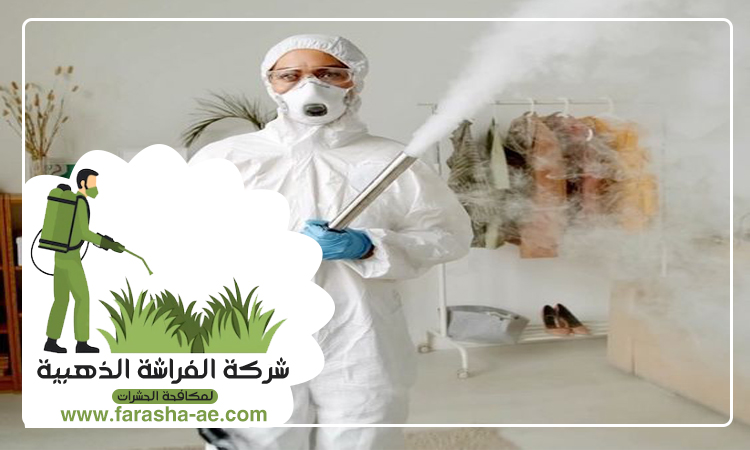 شركة مكافحة حشرات في مريشيد 5 شركة مكافحة حشرات في مريشيد