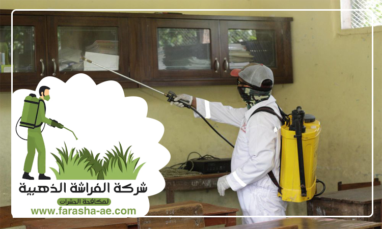 شركة مكافحة حشرات