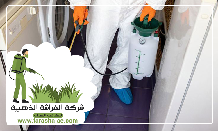 شركة مكافحة حشرات في الحلاة 5 شركة مكافحة حشرات في الحلاة