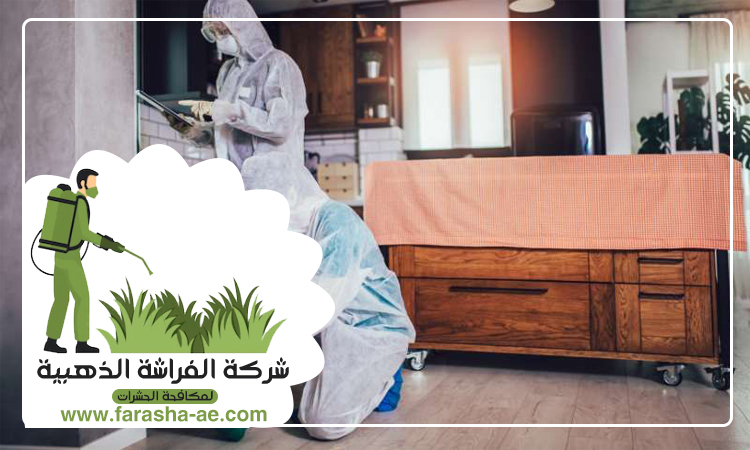 شركة مكافحة حشرات في مريشيد 4 شركة مكافحة حشرات في مريشيد