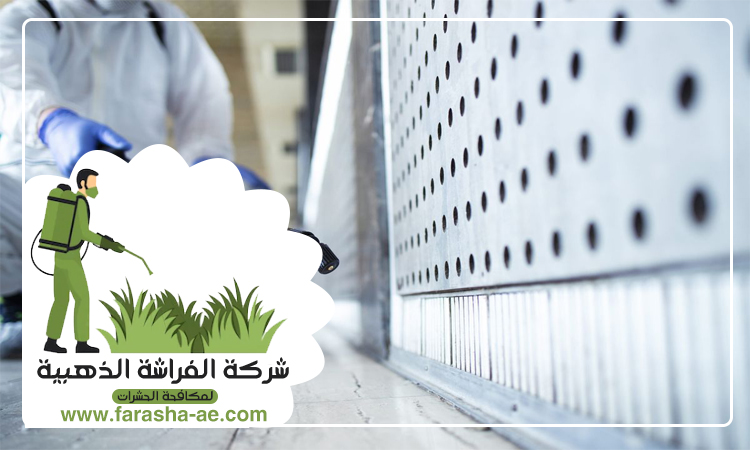 شركة مكافحة حشرات في البليدة 4 شركة مكافحة حشرات في البليدة