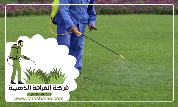 شركة مكافحة حشرات في سكمكم 4 شركة مكافحة حشرات في سكمكم