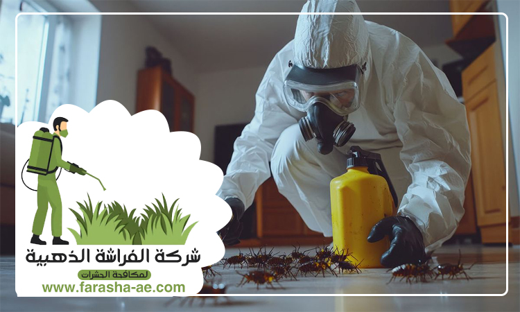 شركة مكافحة حشرات في الحلاة 4 شركة مكافحة حشرات في الحلاة