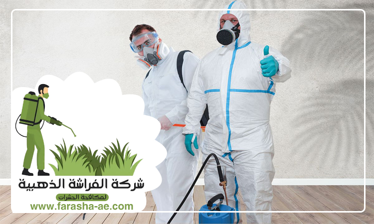 شركة مكافحة حشرات