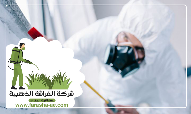 شركة مكافحة حشرات في مدوك 5 شركة مكافحة حشرات في مدوك