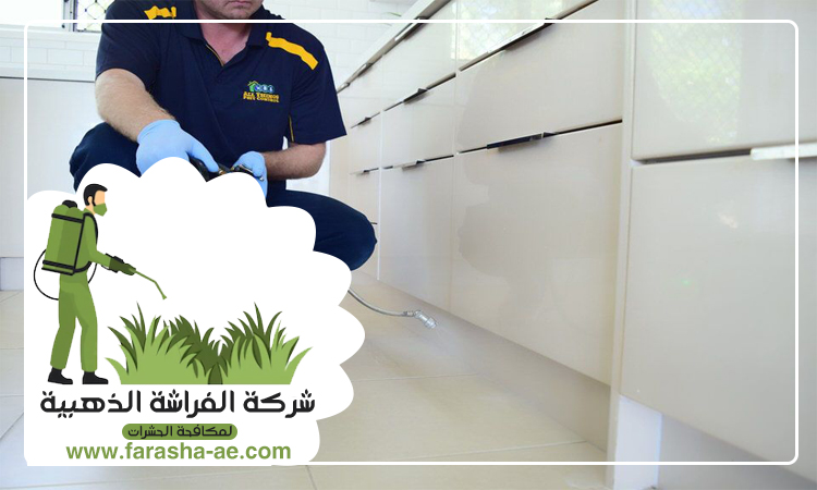 شركة مكافحة حشرات في الفرفار 5 شركة مكافحة حشرات في الفرفار
