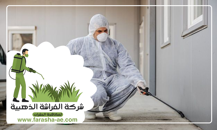 شركة مكافحة حشرات في الفرفار 4 شركة مكافحة حشرات في الفرفار