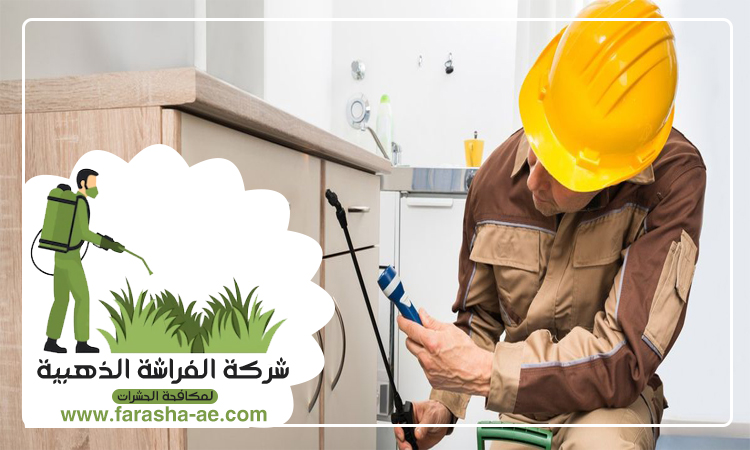 شركة مكافحة حشرات