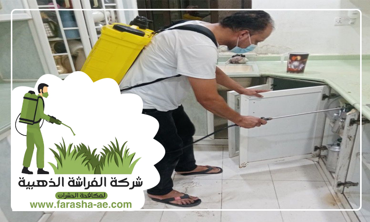 شركة مكافحة حشرات