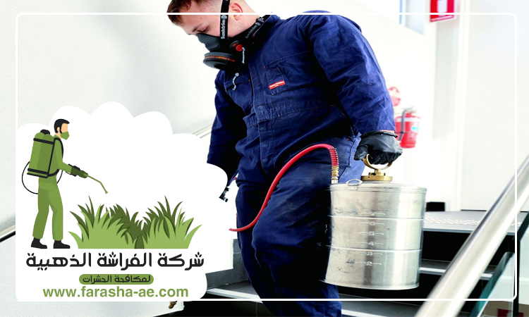 شركة مكافحة حشرات