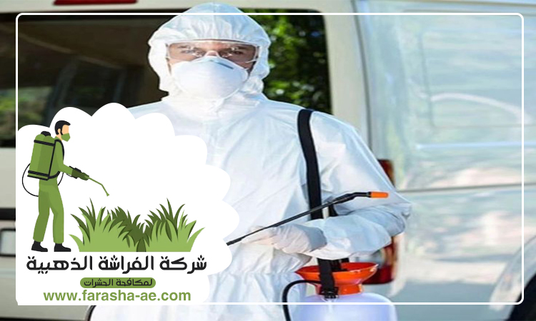 شركة مكافحة الحشرات