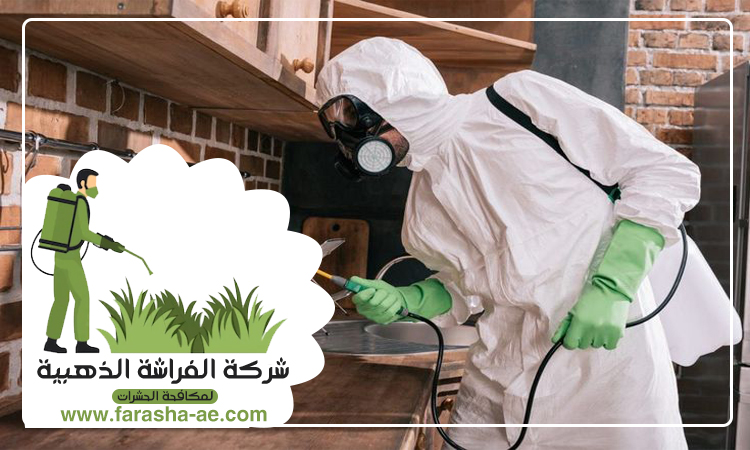 شركة مكافحة الحشرات