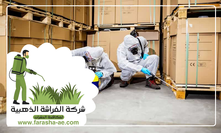 شركة مكافحة الحشرات