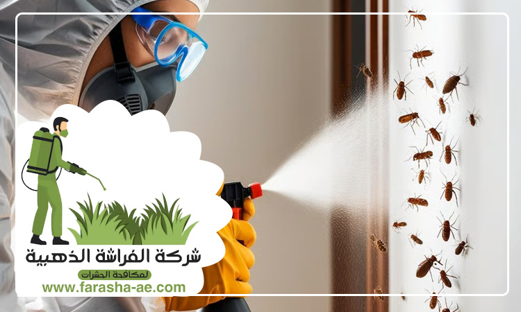 شركة مكافحة حشرات في مدوك