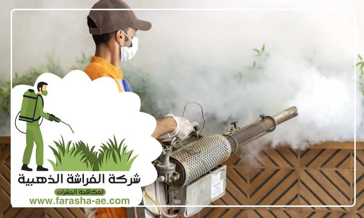 شركة مكافحة حشرات في اوحلة