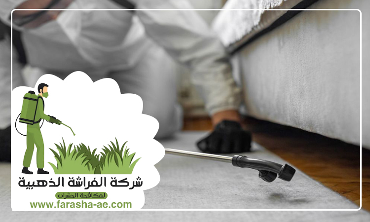 شركة مكافحة حشرات في الفجيرة