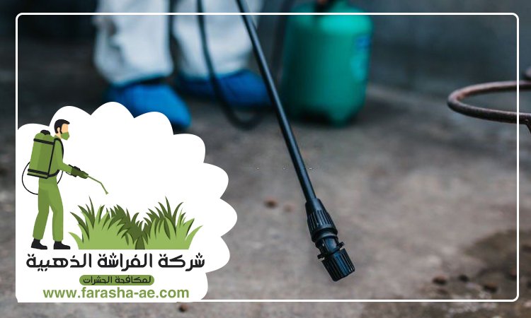 شركة مكافحة الحشرات في الضاحية 5 شركة مكافحة الحشرات في الضاحية