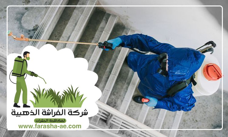 شركة مكافحة الحشرات في الضاحية 4 شركة مكافحة الحشرات في الضاحية