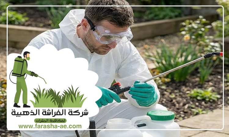 شركة مكافحة الحشرات في الضاحية 3 شركة مكافحة الحشرات في الضاحية