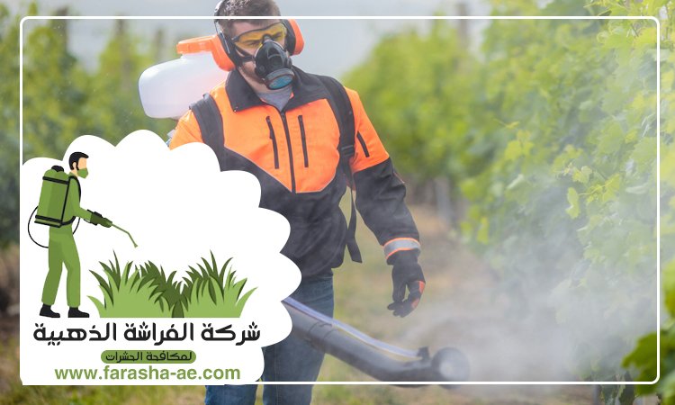 شركة مكافحة الحشرات في الضاحية 2 شركة مكافحة الحشرات في الضاحية