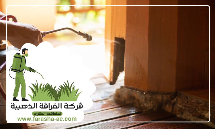 شركة مكافحة الحشرات في القرهود 5 شركة مكافحة الحشرات في القرهود