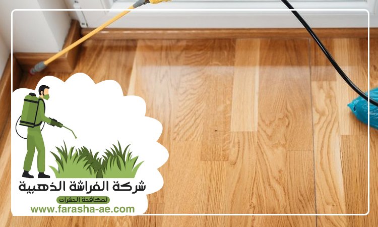 شركة مكافحة الحشرات في القرهود 4 شركة مكافحة الحشرات في القرهود