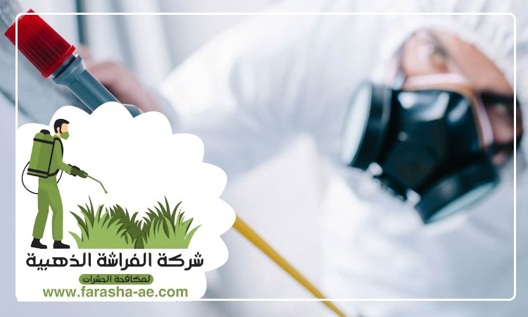 شركة مكافحة الحشرات في القرهود 3 شركة مكافحة الحشرات في القرهود