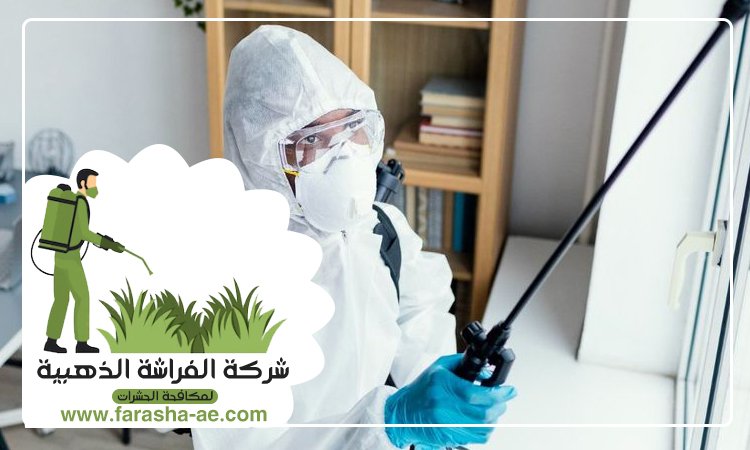شركة مكافحة الحشرات في الحمرية 5 شركة مكافحة الحشرات في الحمرية