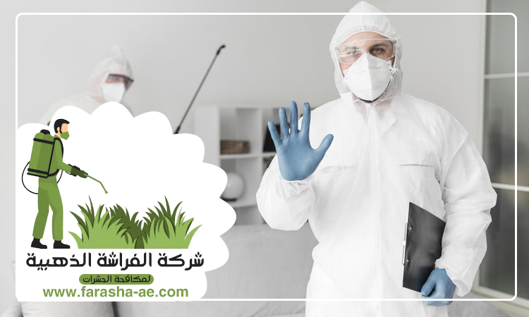 شركة مكافحة الحشرات في الحمرية