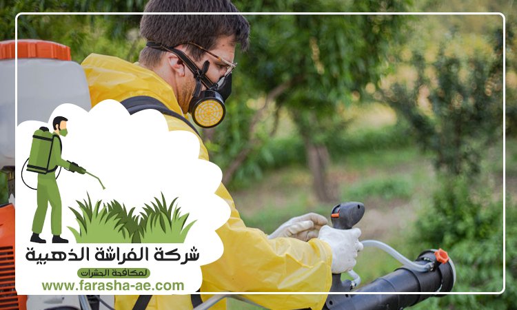 شركة مكافحة الحشرات في الحمرية 4 شركة مكافحة الحشرات في الحمرية