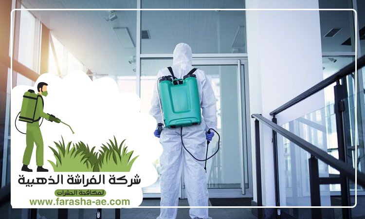 شركة مكافحة الحشرات في الحمرية 3 شركة مكافحة الحشرات في الحمرية